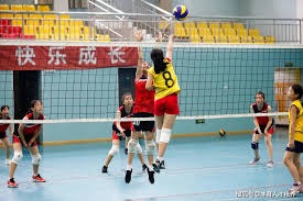 行为模式：解析“沉没成本”陷阱在博彩追数过程中的神经活动映射。（博彩追损中的“沉没成本”陷阱：行为模式与神经活动映射）