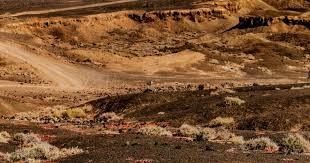 埃贝尔：不理解关于诺伊尔的争论，本赛季他一直是我们的支柱